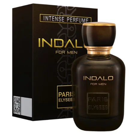 Paris Elysees - Signature Indalo 100ml EDT Masculino